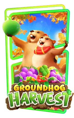 groundhog by เกม สล็อต แตก ง่าย